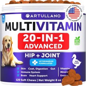 Dog Multivitamin Chewable With Glucosamine 20 In 1 Dog Vitamins And Supplements Senior & Puppy Multivitamin For Dogs Pet Joint S